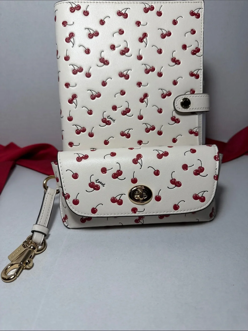 Coach Cherry-Print Notebook Sunglass Case with Gold-Tone Hardware